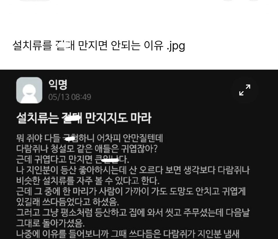 2 4.jpeg?resize=412,232 - 설치류를 절대로 만지면 안 되는 이유