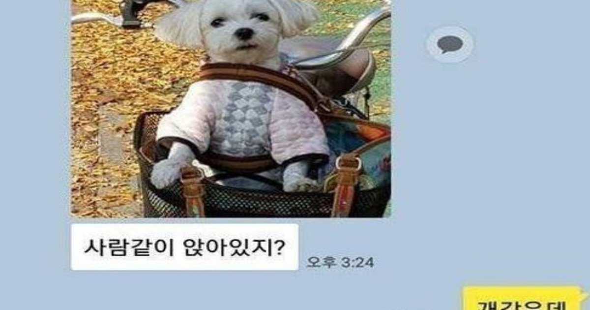 345650567 754119262914870 6578732585837995696 n.jpg?resize=412,232 - 니눈엔 얘가 ㄱ같냐?