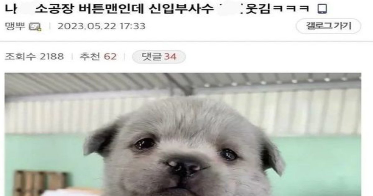 349152817 1559053327918171 2679547127238613728 n.jpeg?resize=412,275 - S급 부사수 .jpg