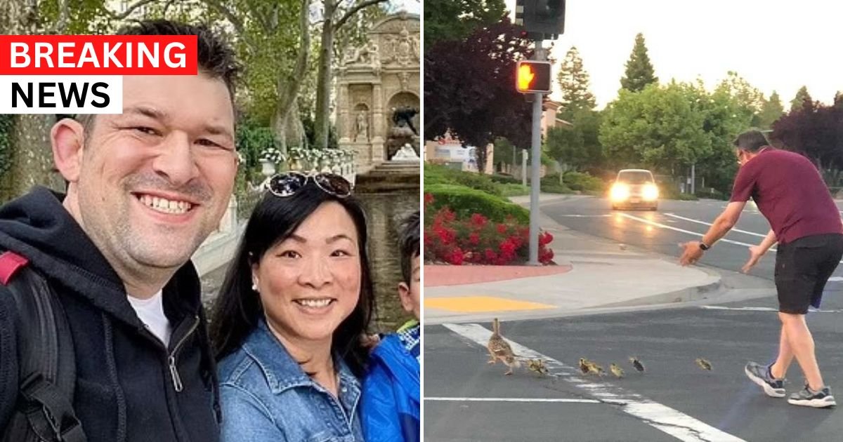 breaking 19.jpg?resize=412,275 - BREAKING: Hero Dad Who Died While Helping A Duck Family Cross The Road Is IDENTIFIED