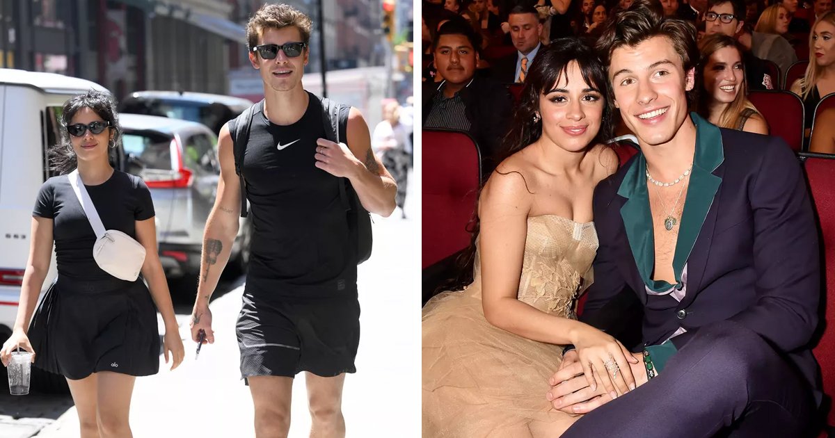 d125 2.jpg?resize=412,275 - EXCLUSIVE: Fans Go WILD After Spotting Camila Cabello & Shawn Mendez Walking 'Hand In Hand' On The Streets Of NYC