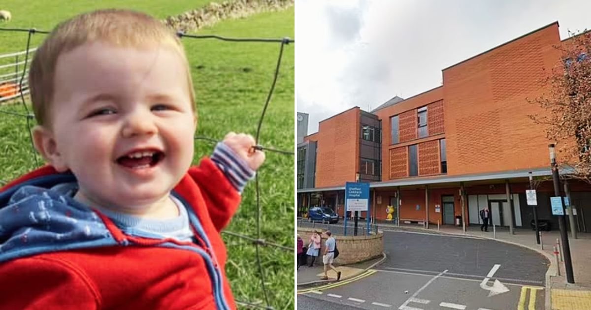 sepsis5.jpg?fit=1024%2C538&ssl=1&strip=all - 16-Month-Old Baby Tragically DIED Only Days After Doctors Ignored Parents' Fears And Dismissed Symptoms As Chicken Pox