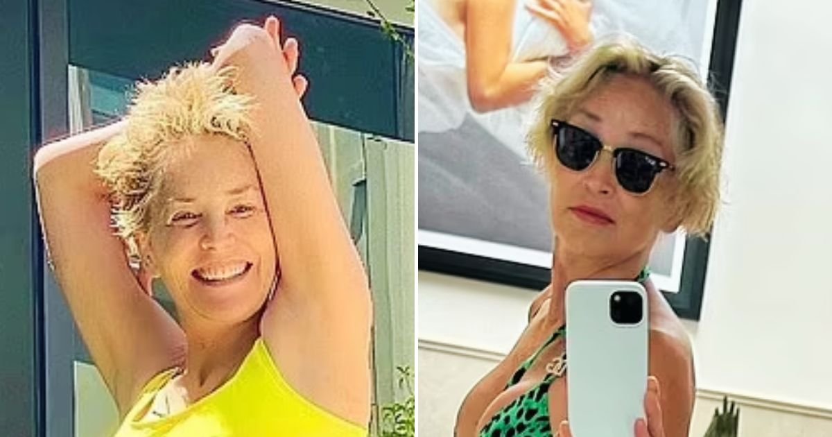 sharon4.jpg?resize=1200,630 - JUST IN: Sharon Stone, 65, WOWS Fans After She Was Seen Wearing A Two Piece Only To Be Photobombed By Her Dog