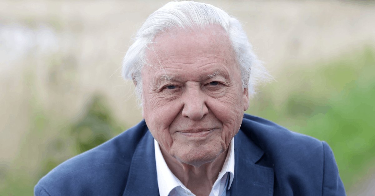 t1 38.png?resize=412,275 - JUST IN: Beloved Broadcaster Sir David Attenborough Celebrates 97th Birthday