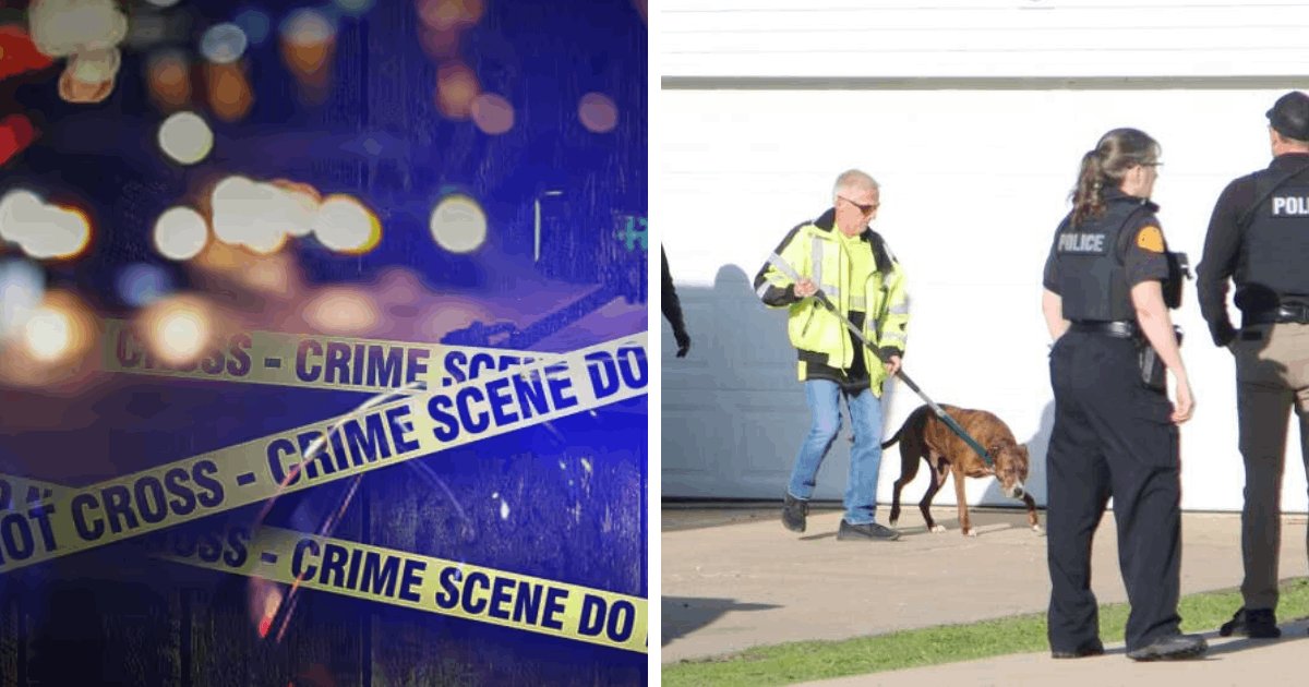 t7 24.png?resize=412,275 - JUST IN: Tragic Dog Attack Leaves Toddler Dead And His Grandmother Seriously Injured