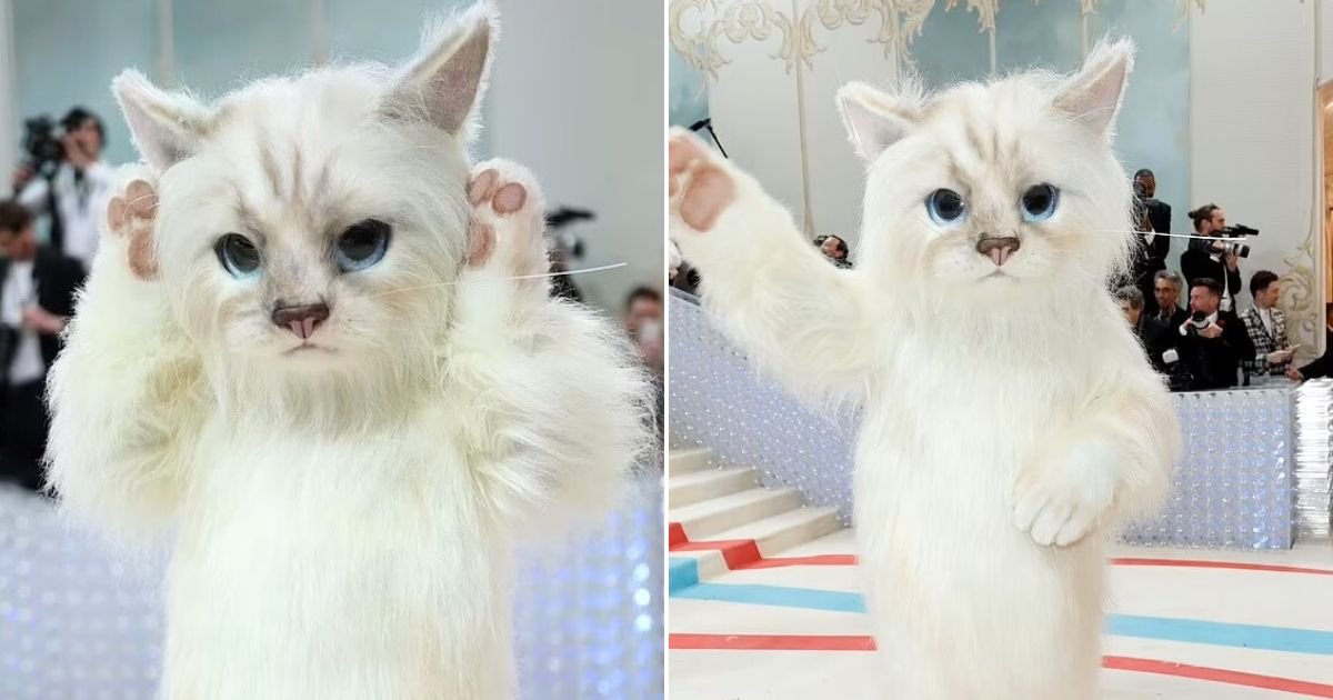 untitled design 2023 05 02t112812 597.jpg?fit=1024%2C538&ssl=1&strip=all - JUST IN: Top Celebrity Dresses As A CAT For Met Gala Red Carpet