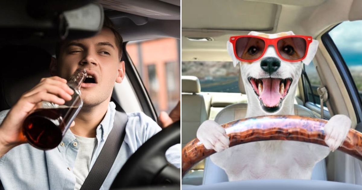 untitled design 22.jpg?resize=1200,630 - Drunk Driver Swaps Seats With His DOG In An Attempt To Avoid DUI Arrest