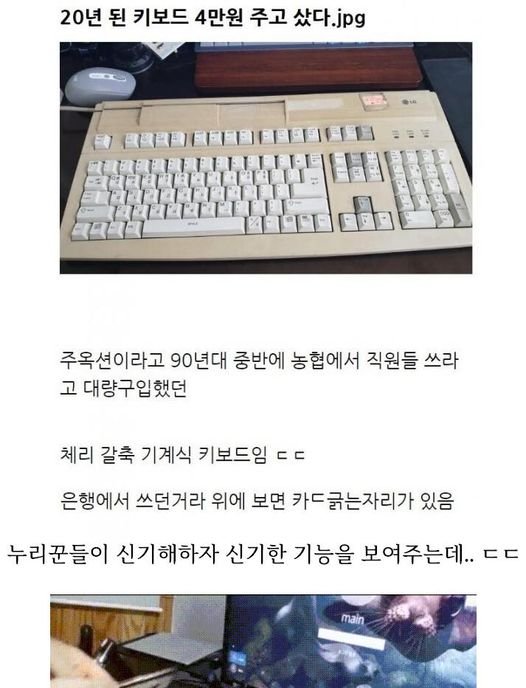 1 5.jpg?resize=1200,630 - 4만원 주고 산 20년 된 키보드의 신기한 기능 ㄷㄷ..