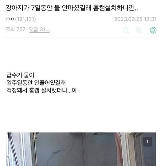 3 16.jpg?resize=412,232 - 개가 물을 안 마셔서 걱정