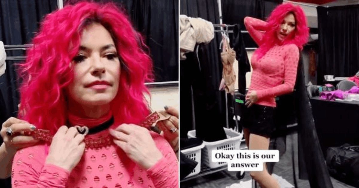 d2 12.png?resize=412,275 - JUST IN: Shania Twain Wins Hearts By Claiming There's No Harm In REUSING Old Costumes For Music Tours