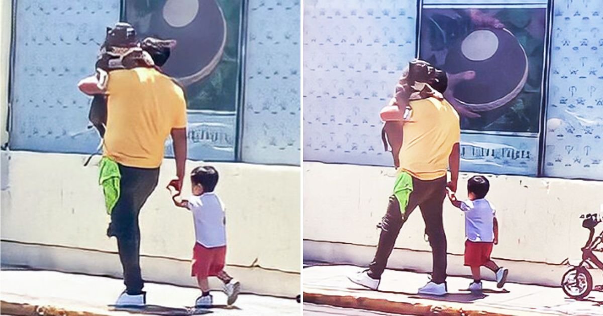 dog4.jpg?resize=412,275 - Dad Sparks Debate After He Was Spotted Carrying His Large Dog Instead Of His Young Son While Walking Down The Road