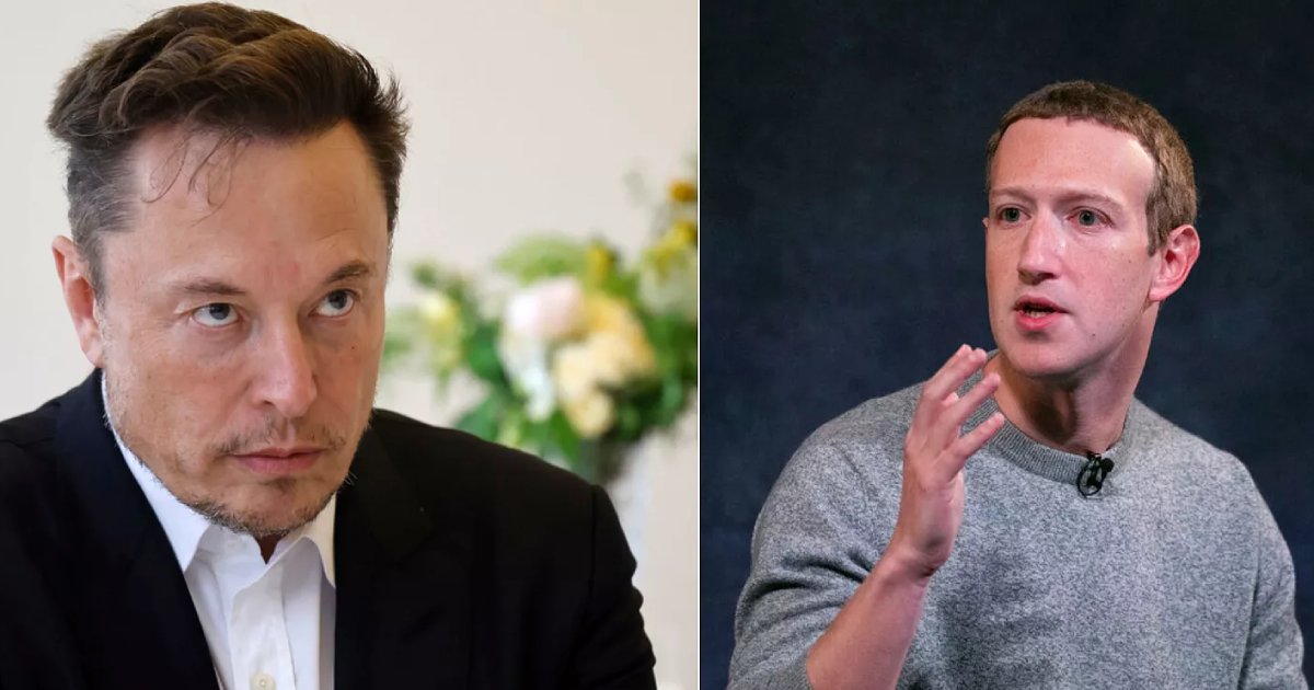 t6 10.png?resize=1200,630 - BREAKING: Elon Musk & Mark Zuckerberg Agree To Hold 'Cage Fight'