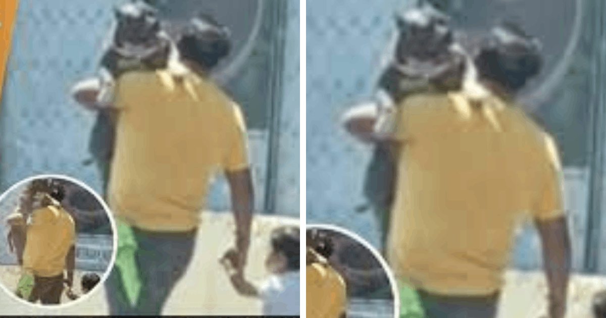 t7 1.png?resize=412,275 - Father Prioritizes Carrying Giant Dog Over His Young Son & Netizens Are Divided Over The Behavior