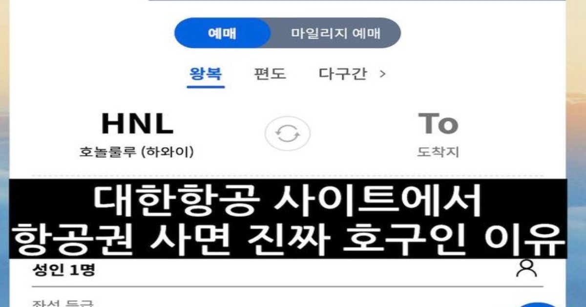 1 14.jpeg?resize=412,232 - 대한항공 사이트에서 사면 호9인 이유ㄷㄷㄷ