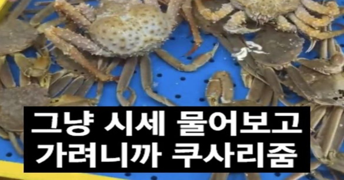 1 16.jpeg?resize=412,275 - 이젠 달라지겠다고 큰절하던 소래포구 직접 찾아가본 수산물 근황ㅋㅋ