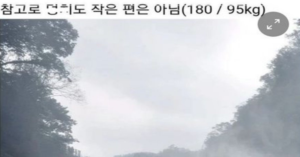 1 26.jpeg?resize=412,232 - ㅊ등학생한테 두ㄷ겨맞은 180cm 95kg 남교사....