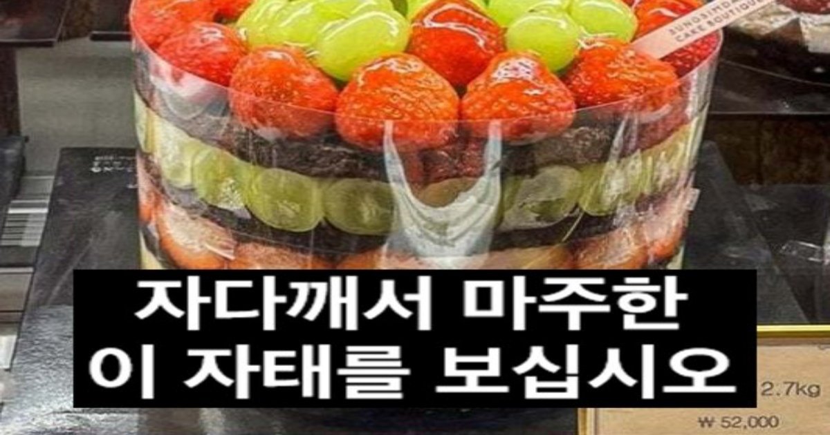 1 27.jpeg?resize=1200,630 - 현재 난리 난 성심당 과일 시루 ㄹㅇ후기ㄷㄷㄷ.JPG