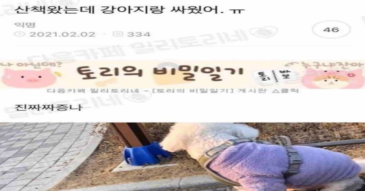 1 3.jpeg?resize=412,232 - 산책하다 반려견과 진심으로 싸운 주인.jpg