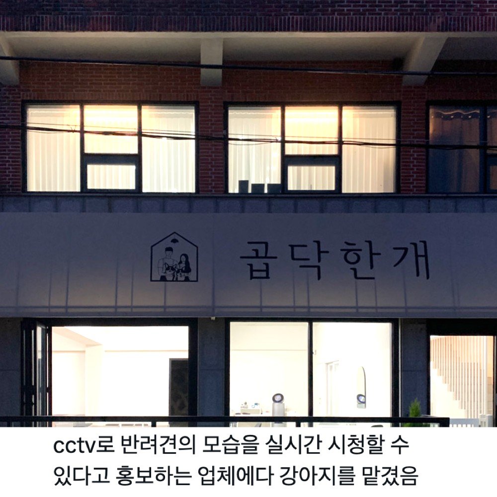15 1 6.jpg?resize=1200,630 - 24시간 상주라고 홍보하는 애견호텔 다 개구라인 이유