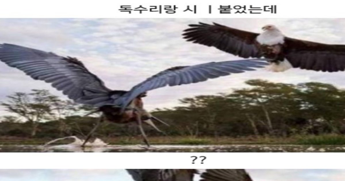 3 12.jpeg?resize=1200,630 - 의외의 대한민국 최상위 포ㅅ자........