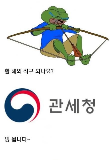 3 1 4.jpg?resize=412,232 - 해외직구에 관대한 관세청에서 유일하게 안되는 것