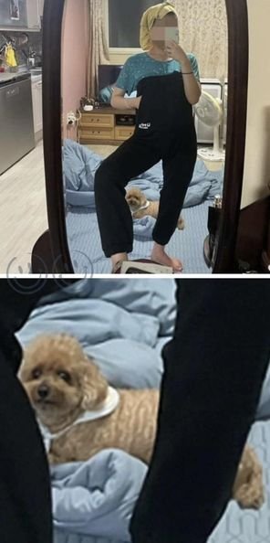 7 1 10.jpg?resize=412,232 - 동생한테 보낸다는게 남친한테 보냄