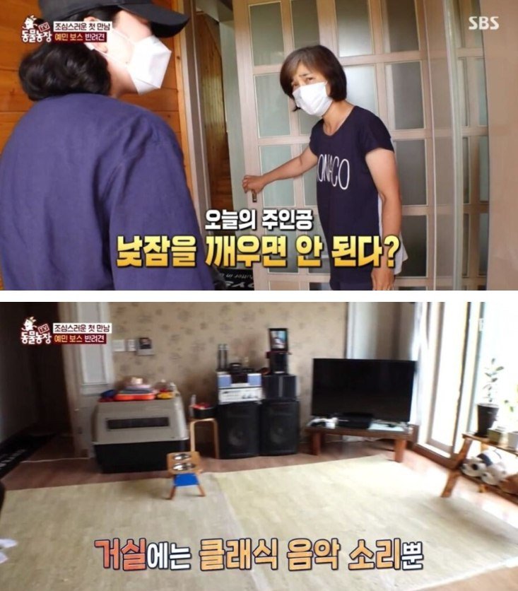 7 1 8.jpg?resize=412,232 - 충격적 결말이었던 불면증이 있는 개…