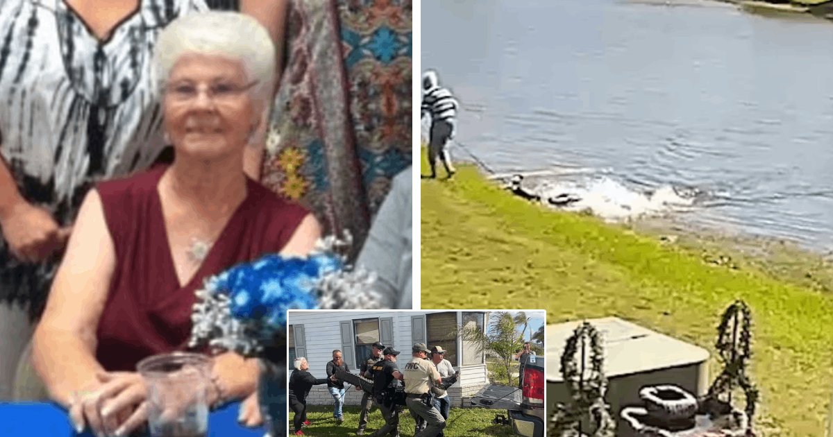 d6 1.png?resize=412,275 - BREAKING: Alligator KILLS 69-Year-Old Woman In South Carolina As Beast Found GUARDING Her Remains