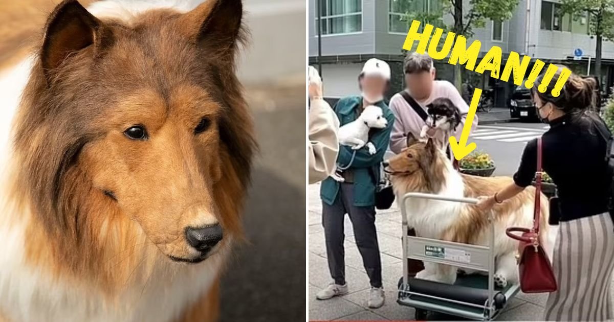 human.jpg?resize=1200,630 - Man Who Dresses In $15K Dog Costume Leaves House To Meet Other Dogs And Make Friends