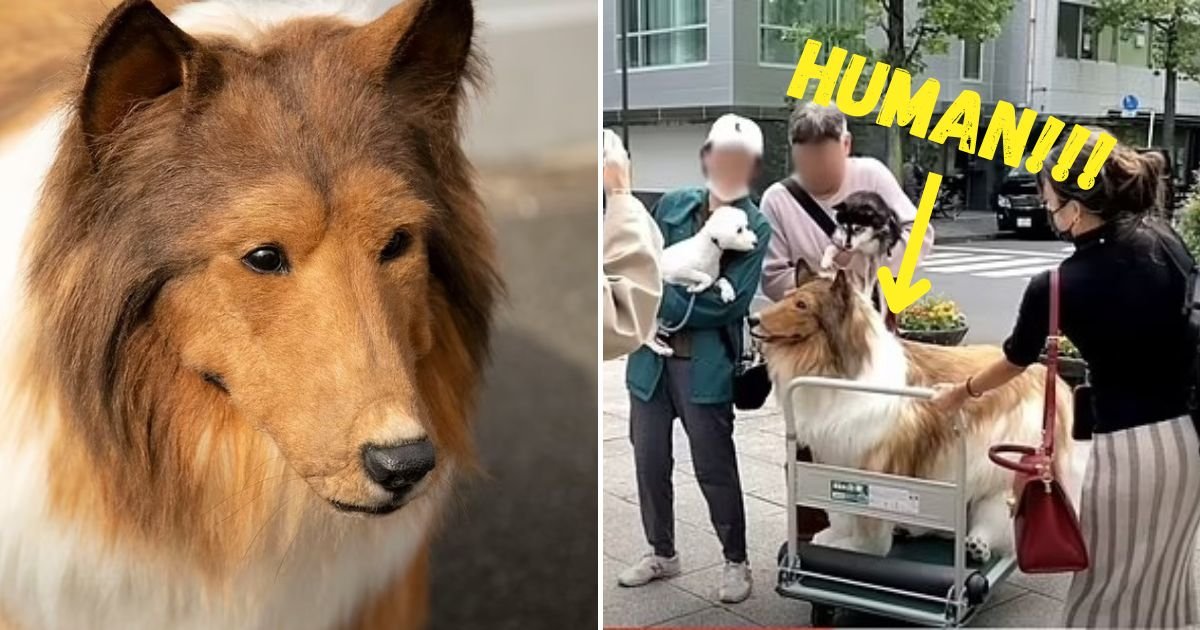 human.jpg?resize=412,232 - Man Who Dresses In $15K Dog Costume Leaves House To Meet Other Dogs And Make Friends