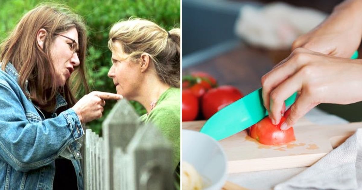 neighbor.jpg?resize=412,275 - 'My Neighbor Filed A Complaint Against Us For Chopping TOMATOES 'Too Loudly'  But We Never Had Loud Parties Or Music'