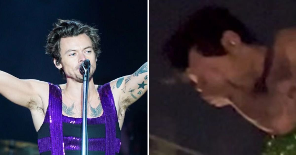 styles5.jpg?resize=1200,630 - JUST IN: Harry Styles, 29, Was Left Wincing In PAIN After Being Hit In The Face During His Love On Tour Show