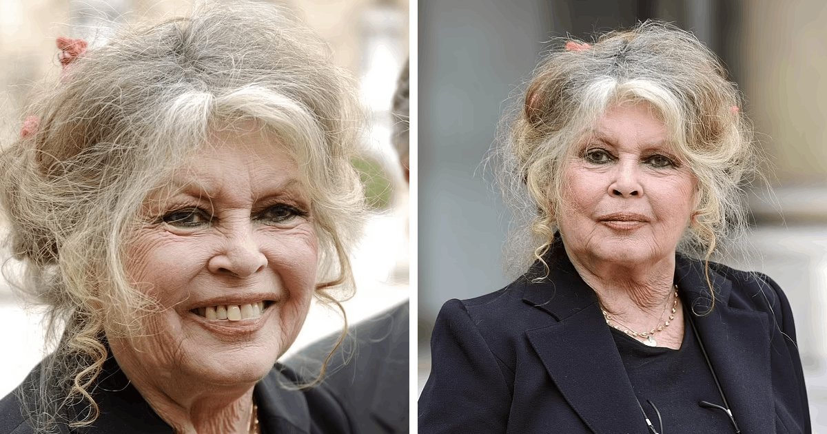 t2 6 1.png?resize=412,275 - BREAKING: Brigitte Bardot Suffers Breathing Issues As Paramedics Seen Rushing To The Star's Home