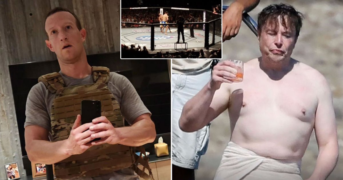 t5 2.png?resize=412,275 - BREAKING: Mark Zuckerberg Contacted By Italy For 'Historic Cage Fight' Between Him & Elon Musk