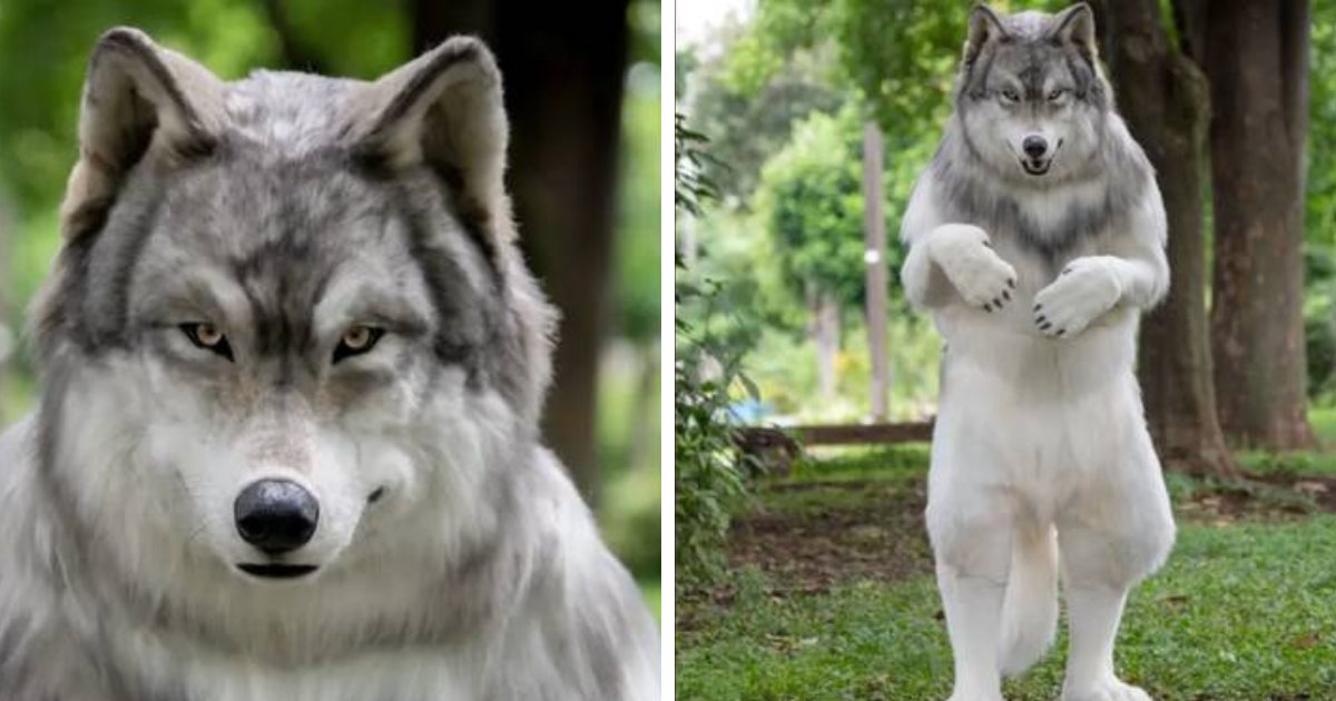t6 12.png?resize=412,275 - "I Just Spent Over $23,000 To Become A Wolf But Now I Feel Like I've Lost ALL Human Touch!"