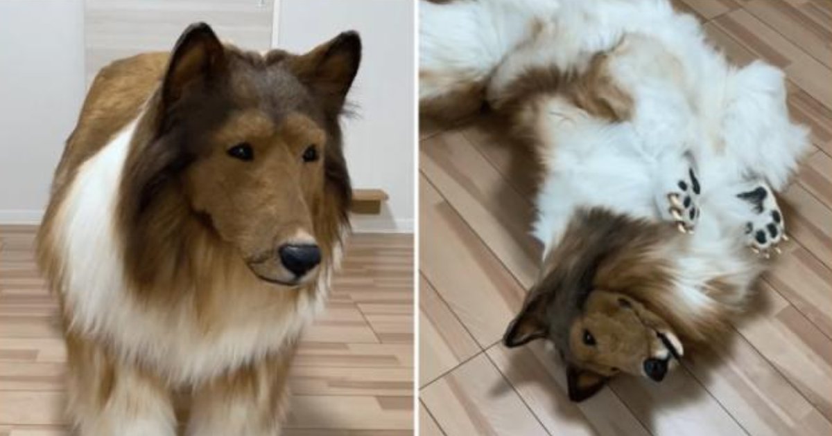 t7 8.png?resize=1200,630 - Man Spends $16,000 To Become A DOG And Claims He's Loving The New Transformation Into An Animal