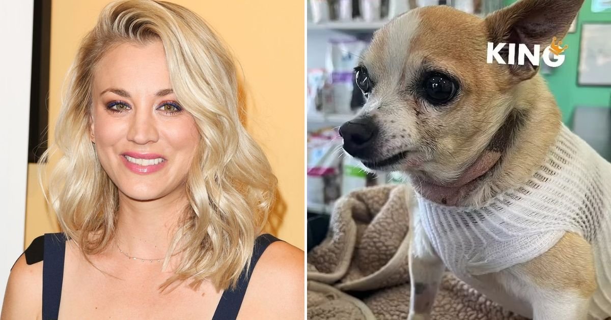 untitled design 19.jpg?resize=1200,630 - Devastated Kaley Cuoco Issues Dire Warning After Her Dog Is Rushed To The Vet Over Medical Emergency