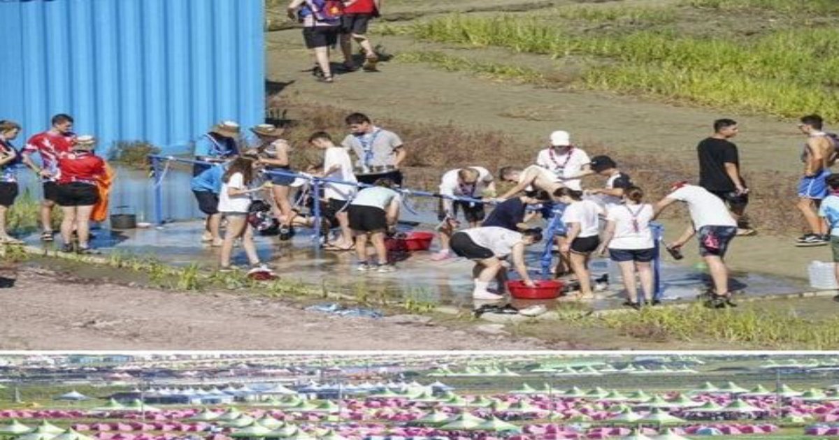 1 21.jpg?resize=412,232 - 잼버리)취재가 막힌 기자의 선택ㄷㄷ
