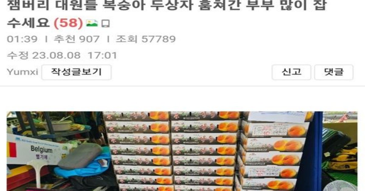 1 24.jpg?resize=412,232 - 잼버리에 기부한 복숭아를 박스채로 털어간 사람;;;ㄷㄷ