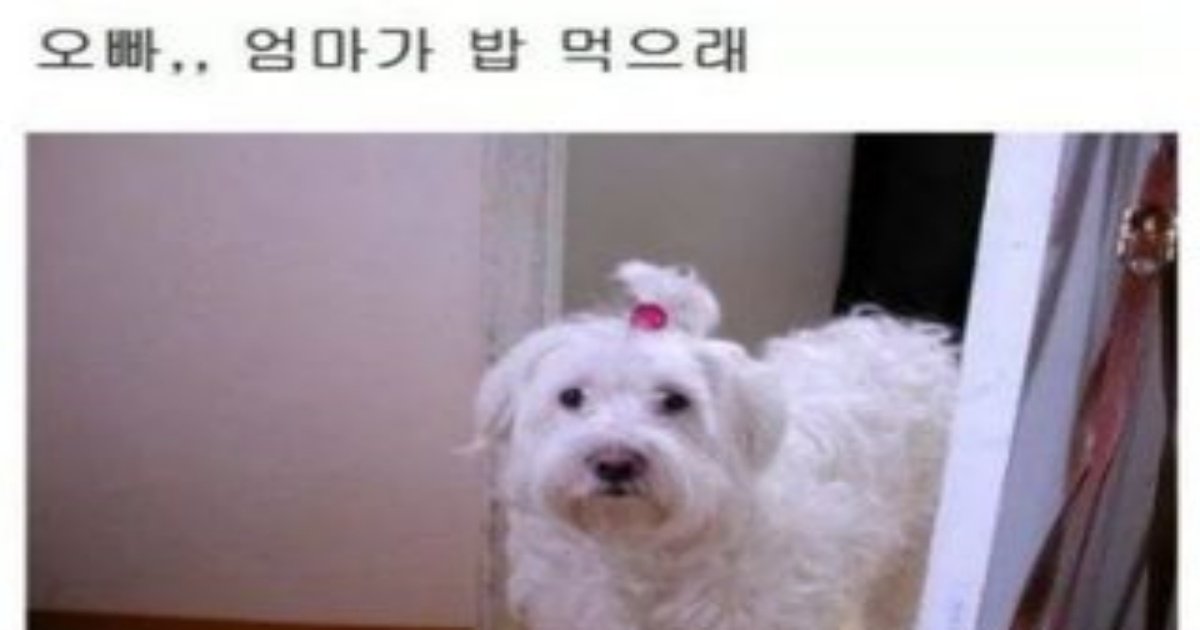 1 34.jpg?resize=412,232 - 오빠 엄마가 밥 먹으래ㅋㅋㅋㅋㅋㅋㅋㅋ