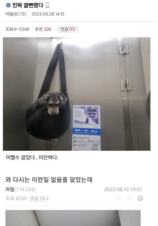 1 44.jpg?resize=412,232 - 급ㄸ 때문에 강아지 매달고 ㄸ쌌던 디시인 근황