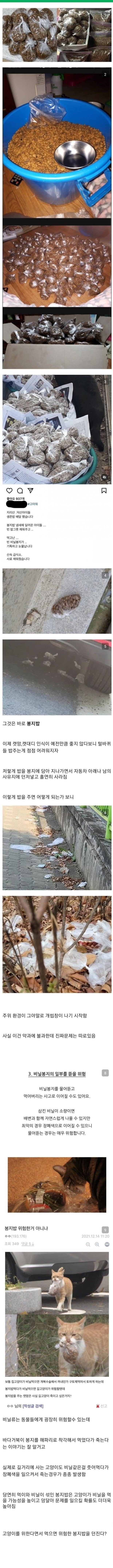 멍청한 캣맘충