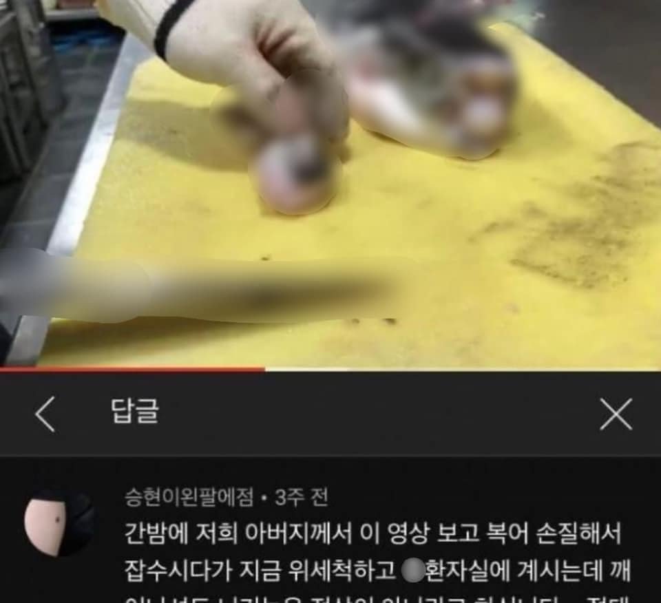 11 2.jpeg?resize=412,232 - 유튜브 보고 복어 손질하다 대ㅊ사..JPG