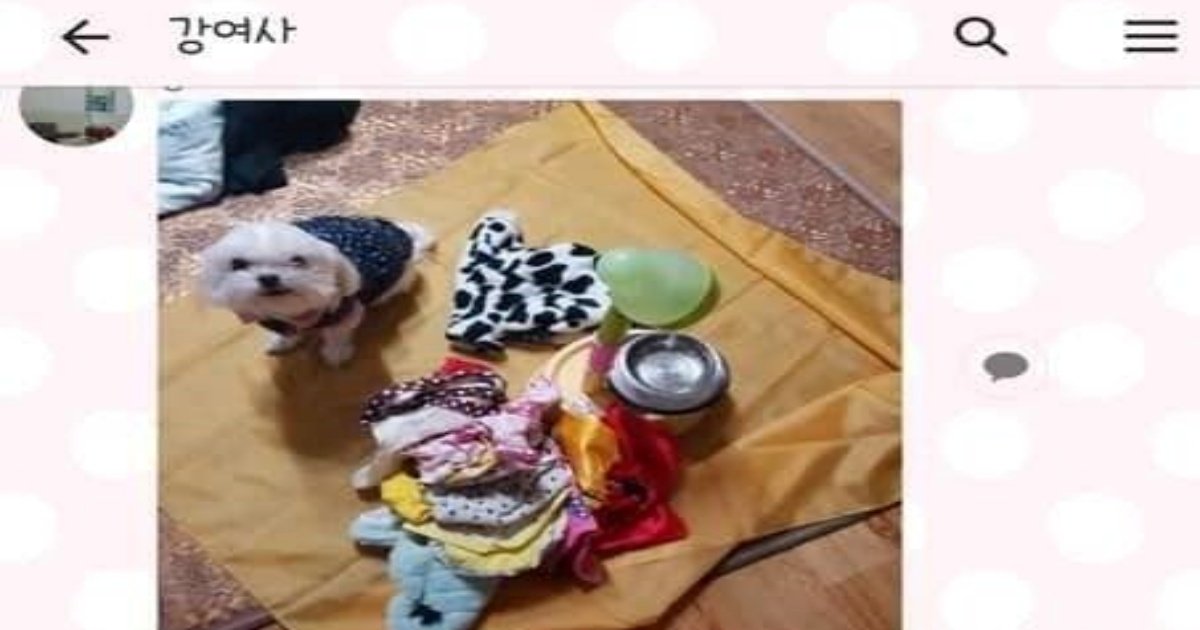 11 4.jpg?resize=412,232 - 할머니의 무시무시한 협박........