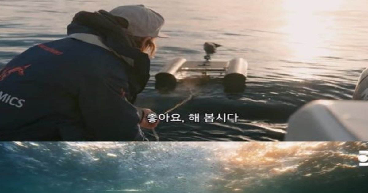 5 11.jpg?resize=412,232 - 물밖으로 치솟늘 백ㅅ아리 촬영하기
