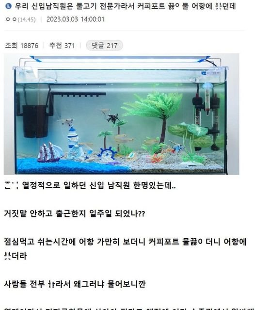 5 17.jpg?resize=1200,630 - 커피포트 끓인물을 어항에 부어ㅂ린 신입사원 ㄷㄷ