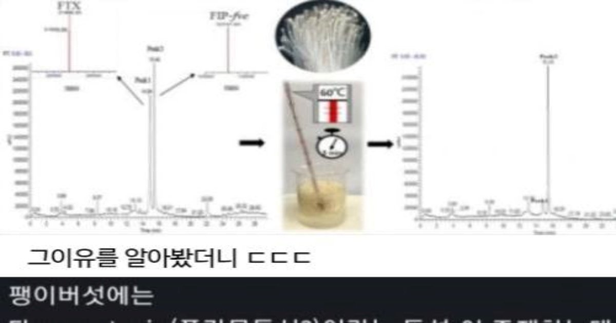 56.jpg?resize=412,275 - 생각외로 잘못 먹으멱 ㅈ는것‥....ㄷㄷ