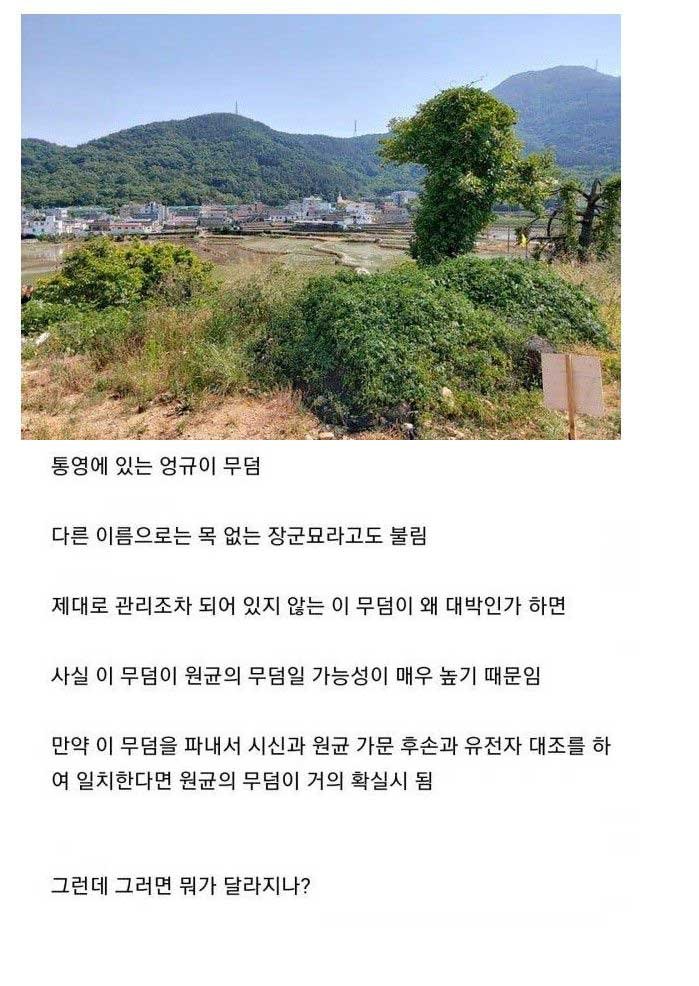 8 25.jpg?resize=412,232 - 발굴하면 대박 가능성 높은 무덤