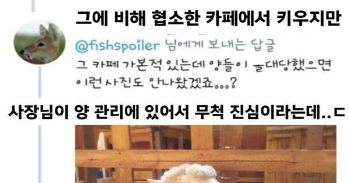 88 1.jpg?resize=412,232 - 한때 화ㅈㅔ였던 홍대 양카페 근황 ㄷㄷㄷ