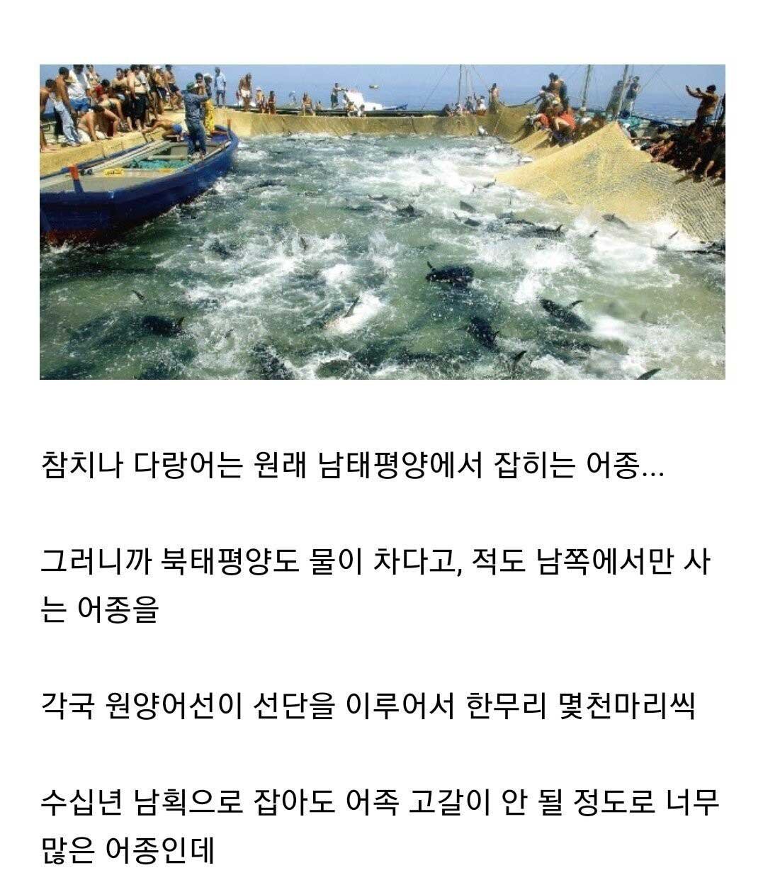 8 1.jpg?resize=412,232 - 앞으로 동해에서 명태, 오징어가 영원히 안 잡히는 이유